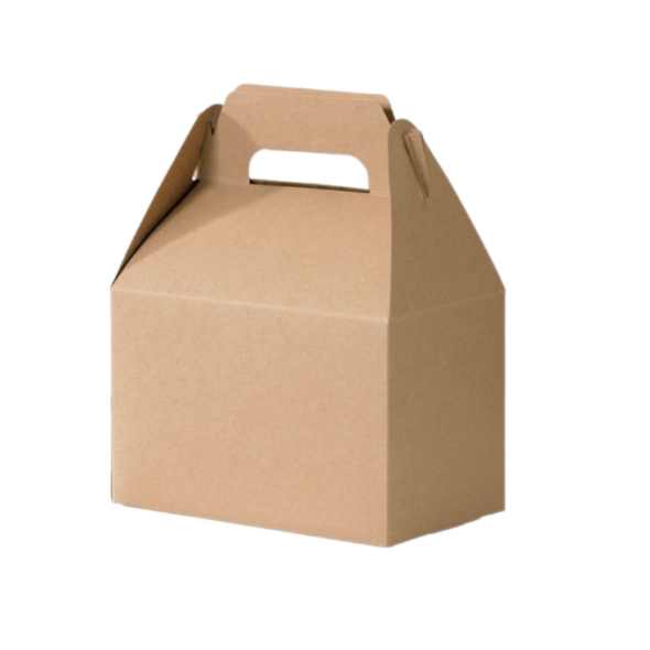 Hộp Carton1